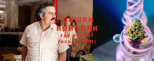 ешки Бронницы