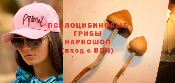 твердый Бугульма