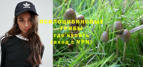 ешки Бронницы