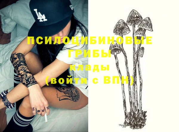 ешки Бронницы
