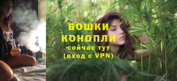 ешки Бронницы