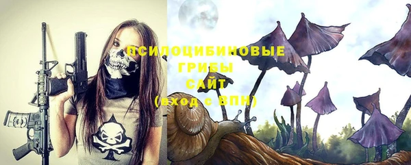 первитин Бородино