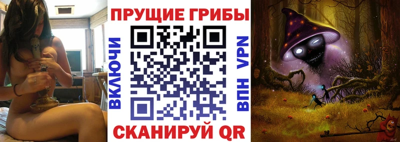 Галлюциногенные грибы Cubensis  как найти закладки  Тихвин 
